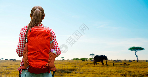 冒险,旅行,旅游,徒步旅行人的轻的女人带着背包非洲草原背景的动物女人背着背包非洲草原上图片