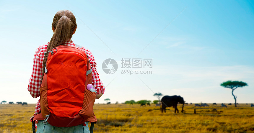 冒险,旅行,旅游,徒步旅行人的轻的女人带着背包非洲草原背景的动物女人背着背包非洲草原上图片