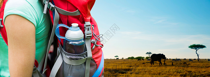 旅行,旅游,徒步旅行人的非洲大草原背景下,背包口袋里装着水瓶的女人动物身上特写把带水瓶的女人关背包里背景图片