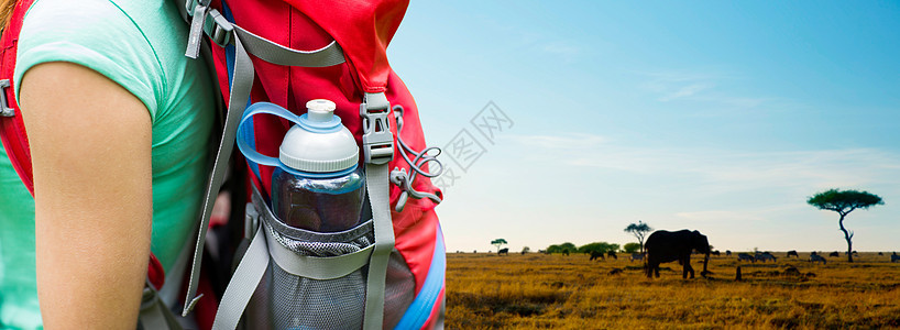 旅行,旅游,徒步旅行人的非洲大草原背景下,背包口袋里装着水瓶的女人动物身上特写把带水瓶的女人关背包里图片
