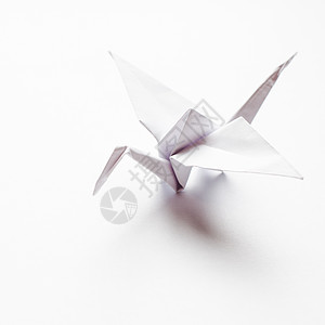 折纸鹤用白纸制成的,隔离白色背景上白鹤手工制作背景图片