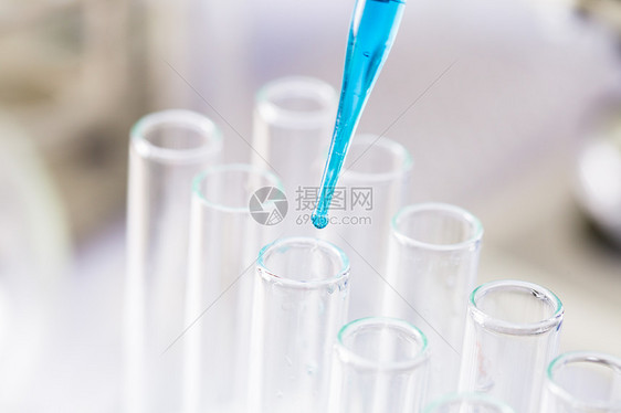 实验室管中吸管中的蓝色滴实验室的管子图片