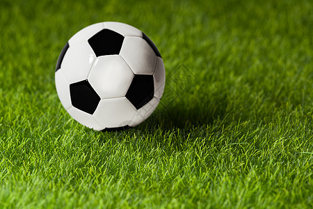 足球绿草地上特写足球激情比赛前草地上的足球图片