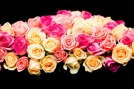 豪华粉红色米色玫瑰边界的黑色背景粉红色米色玫瑰边框图片