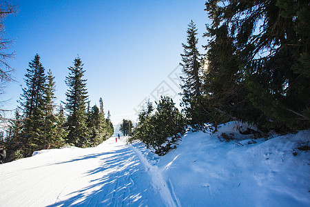 高塔特拉山的滑雪坡寒冷的晴天滑雪坡兰斯卡普图片