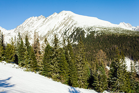 高塔特拉山的滑雪坡寒冷的晴天滑雪坡洛杉矶图片