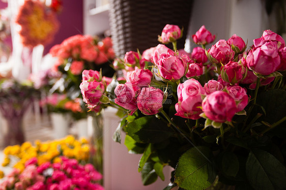 收集美丽的玫瑰家花卉商店出售花店里的花玫瑰图片