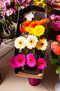 花卉市场上各种鲜花鲜花待售图片