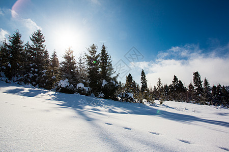 冬天走野生动物的脚步声中雪覆盖着山坡,雪上针叶树小径图片