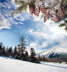 冬天山上旅行雪覆盖着山路,两边都白雪覆盖的树木图片