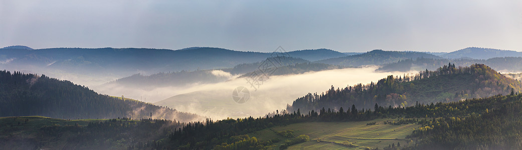 春山全景早上山上雾的森林图片