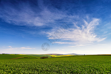 绿色田野南莫拉维亚山丘上的春天农田捷克绿色春天田野农村农业场景背景