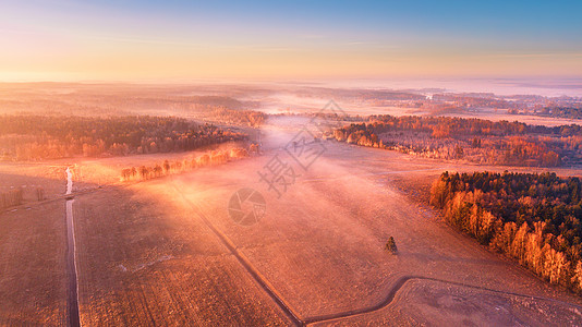 春雾日出雾笼罩着田野空中乡村景观阳光明媚的早晨图片
