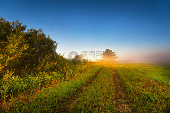 夏日田野上雾蒙蒙的阳光明媚的早晨雾蒙蒙的早晨全景夏天田野上雾蒙蒙的阳光明媚的早晨朦胧的全景图片