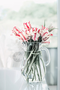 可爱的郁金香,放窗户白色桌子上的璃水壶里室内中的花舒适的家春天图片