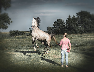 自由马高跳后腿,女人玩马术场景免费骑马服装图片