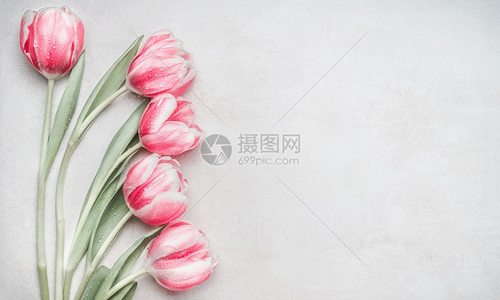 可爱的意大利粉红色郁金香,花边轻背景,顶部的春季假期的布局母亲节贺卡图片