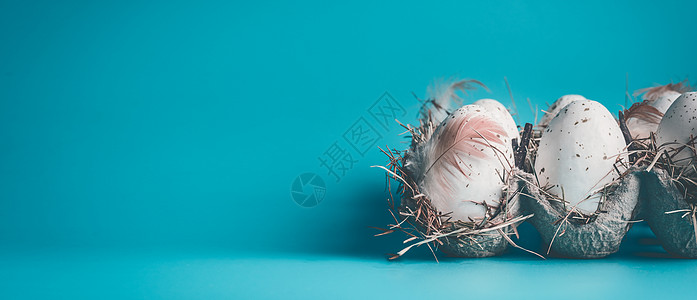 鸡蛋与羽毛纸箱包装蓝色背景,正视图,横幅复活节图片