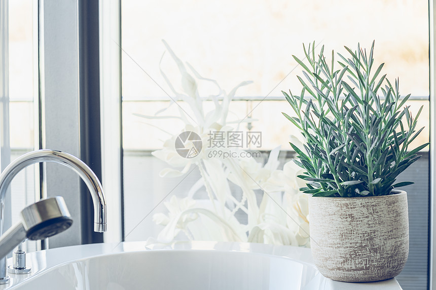 软管植物肉质蛇蓝色粉笔浴室 山雀高清图片下载 正版图片 摄图网 软管植物肉质蛇蓝色粉笔浴室 山雀高清图片下载 正版图片 摄图网