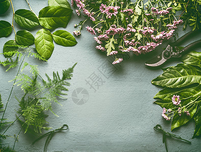 花店的工作很多新鲜的绿叶,粉红色的花剪刀,平躺,框架与为您的图片