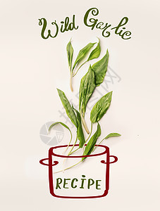 创意布局与彩绘烹饪锅新鲜绿色野生大蒜叶白色背景健康的季节食物,食谱饮食图片