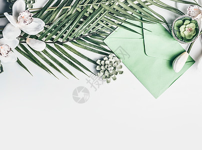绿色热带叶子,兰花花,信封,肉质装饰白色桌背景,顶部视图,边框图片