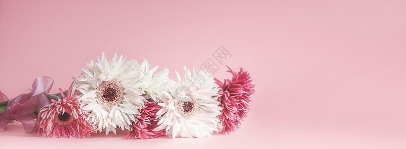 粉红色花旗模板背景与美丽的花高清图片