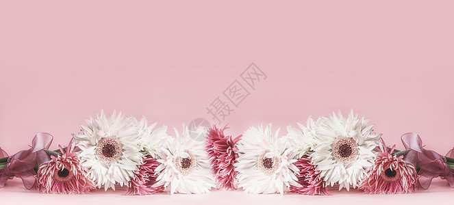 花边模板背景与美丽的花粉红色高清图片
