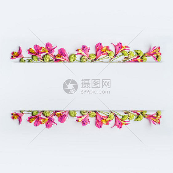 创意花卉框架,边框横幅布局与粉红色绿色异国情调的白色背景,顶部视图图片