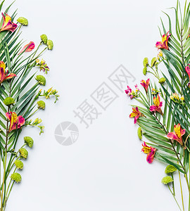夏季热带框架,绿色棕榈叶异国情调的花白色背景图片