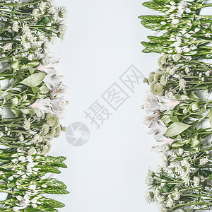 美丽的花架布局与绿色的花白色背景,顶部视图图片