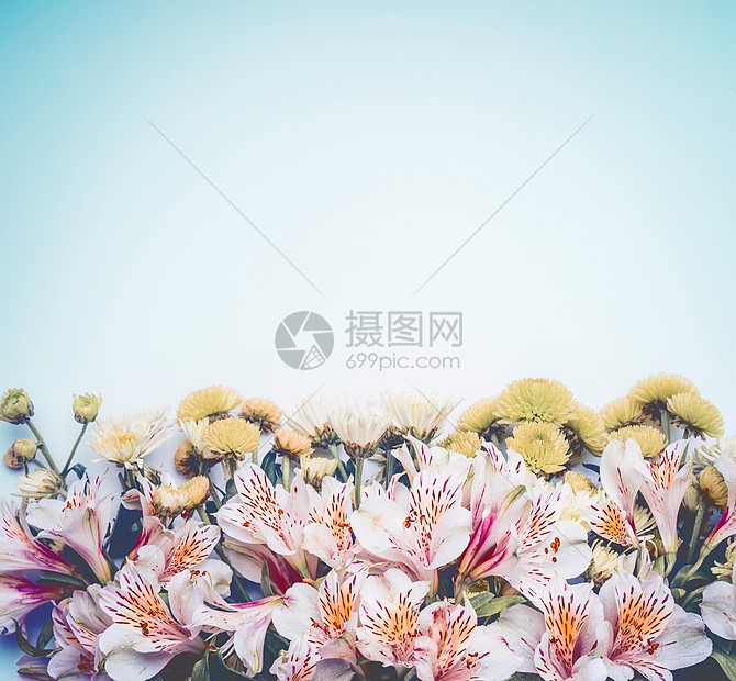 美丽的花边贴着淡蓝色的背景花卉布局与为您的高清图片下载 正版图片 摄图网