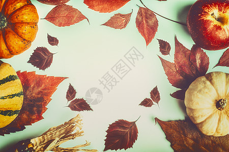 秋天背景五颜六色的南瓜落叶,顶部的景色,框架图片