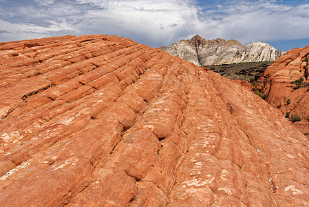 红色砂岩悬崖,雪峡谷公园,犹他州图片