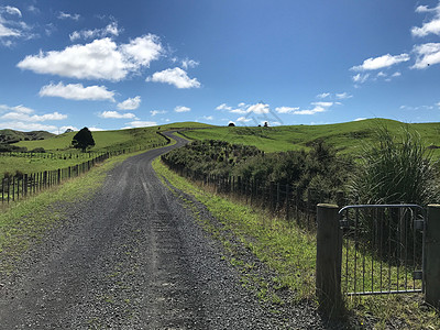 穿过新西兰农田的砾石路图片