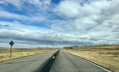 美国蒙大州北部的农村公路蒙大州北部的农村公路,背景中奶牛横穿马路图片