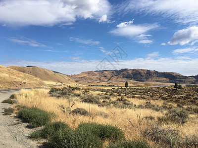 华盛顿东部的乡村场景靠近特维斯普,华盛顿图片