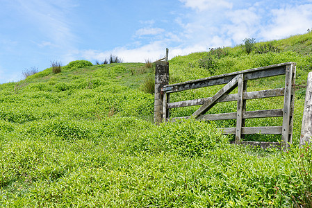 新西兰塔拉纳基的乡村风景新西兰被遗忘的世界公路沿线的乡村风景图片