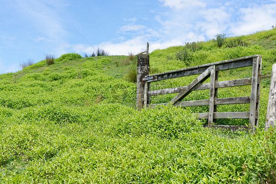 新西兰塔拉纳基的乡村风景新西兰被遗忘的世界公路沿线的乡村风景图片