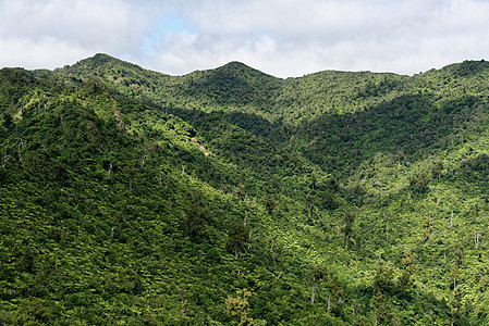 皮龙尼亚山,怀卡托,新西兰山顶附近的新西兰皮龙亚山的远景图片