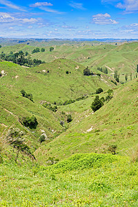 新西兰塔拉纳基的乡村风景新西兰被遗忘的世界公路沿线的乡村风景图片