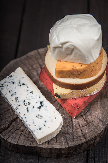 棵树的木端上许多种奶酪