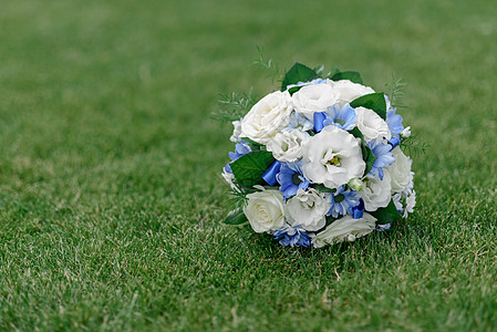 新娘的花蓝色的花躺绿色的草坪上图片