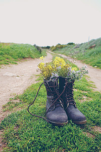 古老的靴子里装满了大自然中的花朵图片