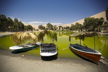 绿洲被ICA秘鲁附近的沙丘所包围图片