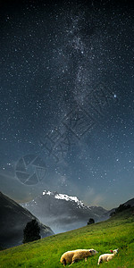 银河系山里的山羊风景如画的挪威峡湾图片