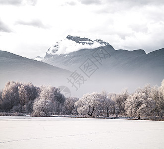 冬季景观森林山脉的背景图片