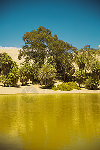 秘鲁伊卡沙漠华卡奇纳绿洲图片