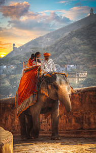 只大象沿着琥珀堡的路走印度拉贾斯坦邦图片
