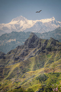 鹰飞过山脉道路喜马拉雅山图片